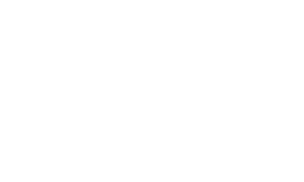 WINGS 3x3 Basketball Logo