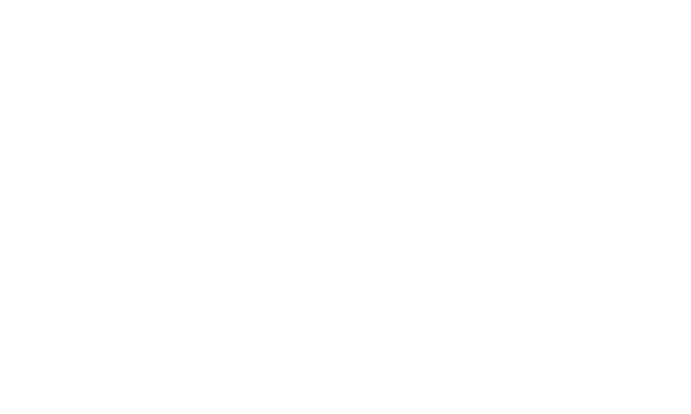 WINGS Basketball Academy Logo