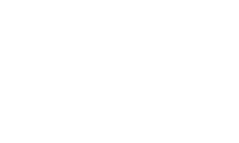 WINGS Basketball